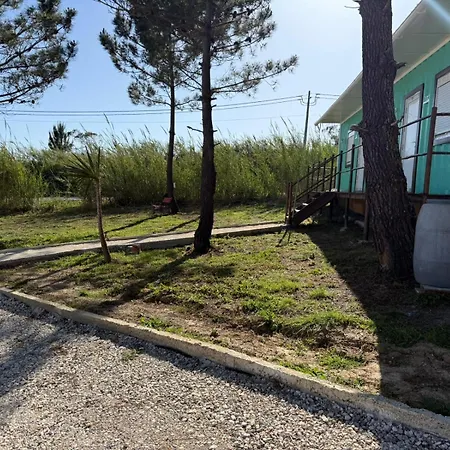 Peninsula Boemia Farm stay Sao Martinho do Porto